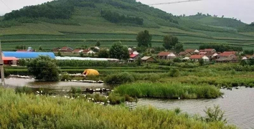 國務(wù)院：田園+養(yǎng)生+康養(yǎng)模式市場(chǎng)無可估量