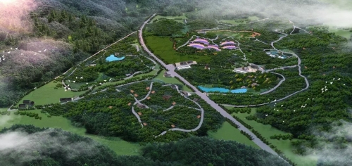 森林康養(yǎng)的八大維度和五個(gè)運(yùn)營(yíng)模式