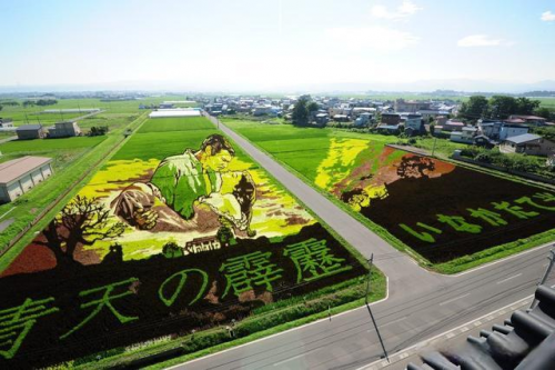 鄉(xiāng)村田園藝術(shù)規(guī)劃——玖景文旅產(chǎn)業(yè)規(guī)劃設(shè)計(jì)研究院分享