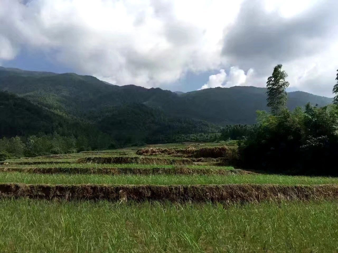 1651912329835932.jpg pic_007.jpg